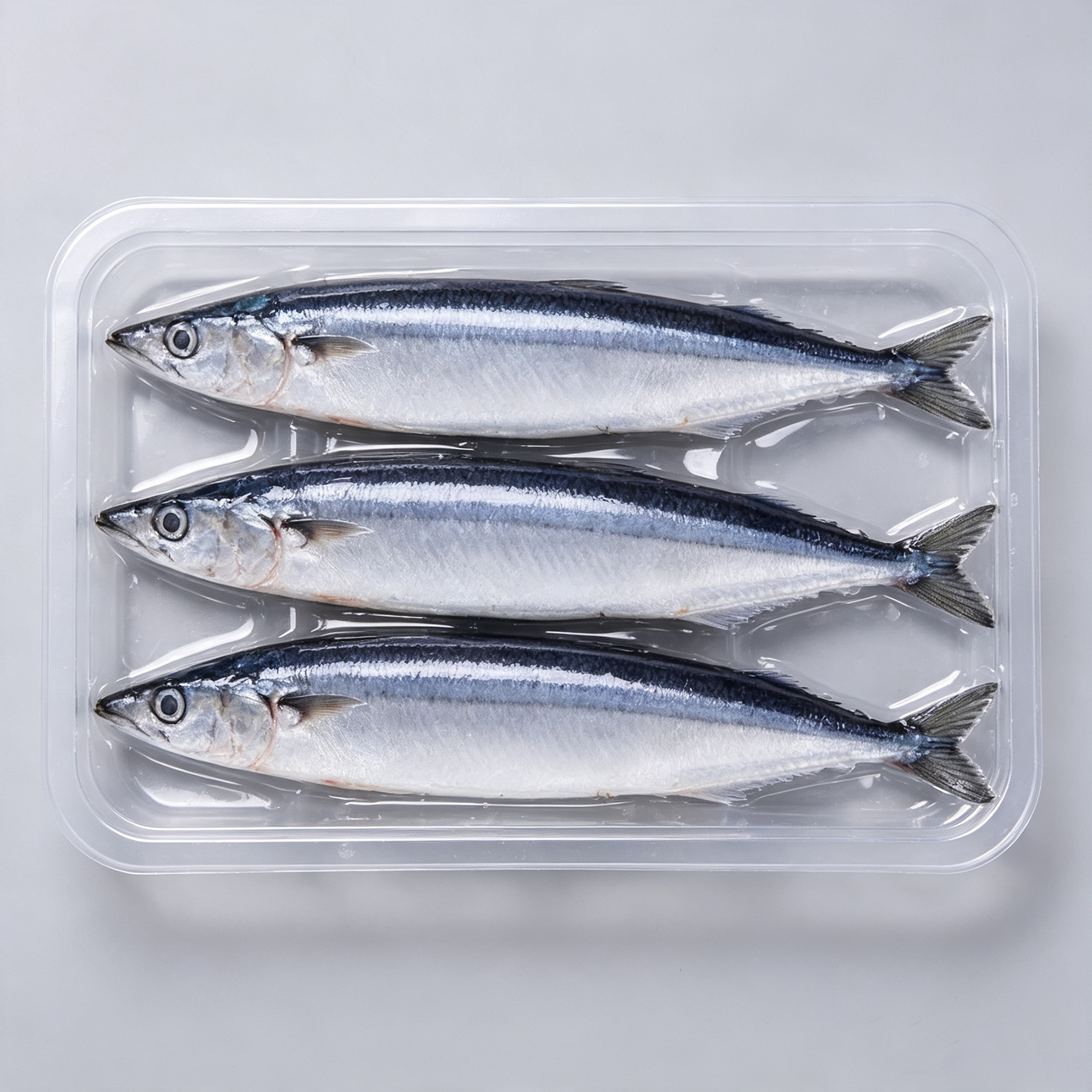 Frozen Single‑Frozen Saury Fish